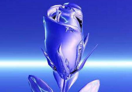 ��� ����� ���� �� �����